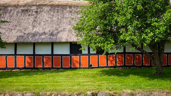 Bindingsværksgård med stråtag set fra siden med stort træ i højre side af billedet.