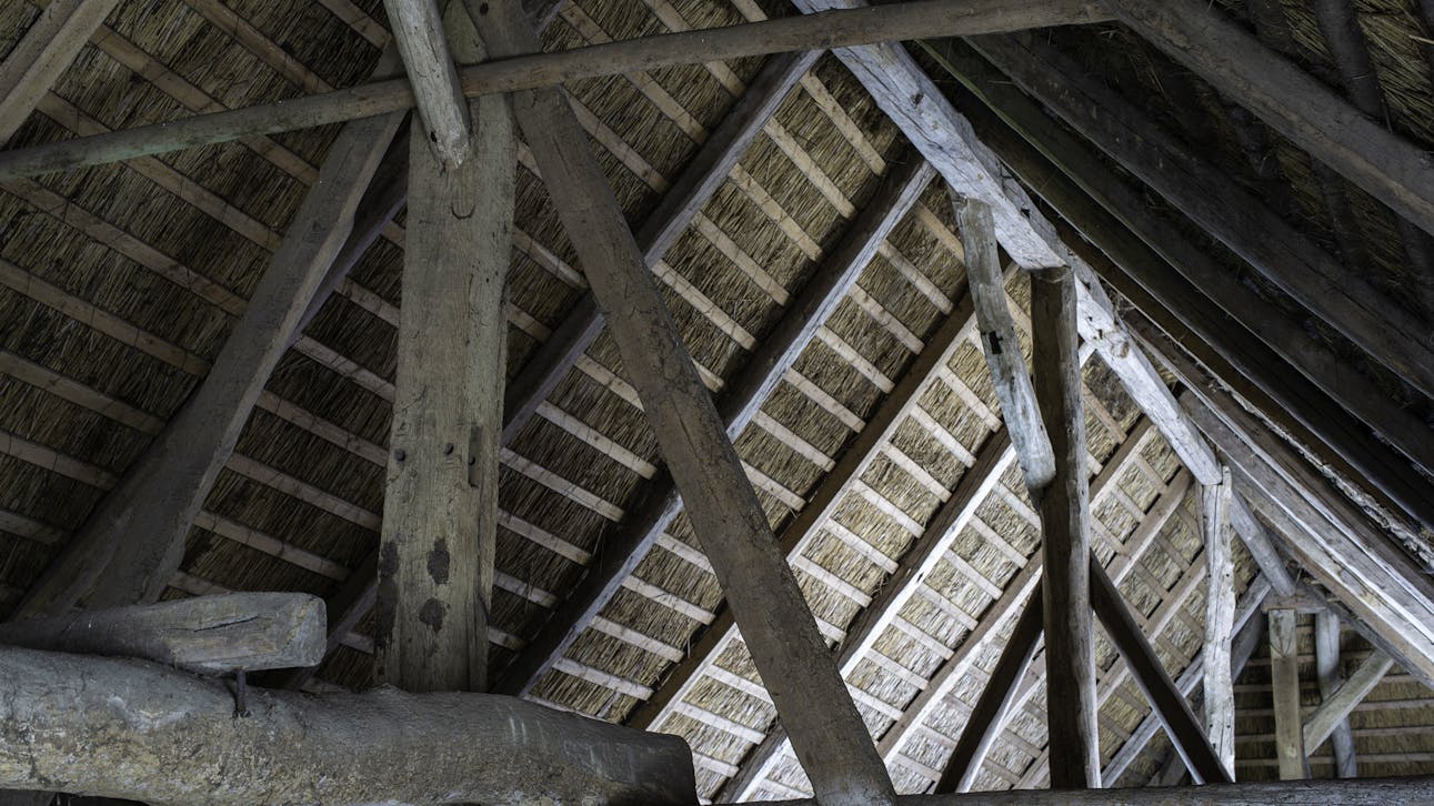 Trækonstruktionen set fra indersiden med suler og stråtag.