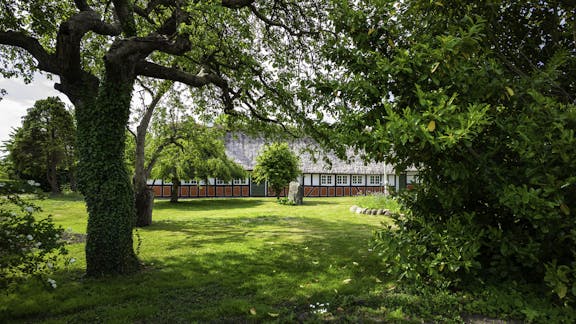 Bindingsværksgård med stråtag set fra frodig have med store, gamle træer.